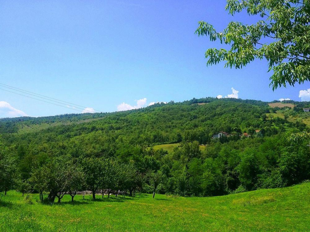 Il Mio Rifugio Gaggio Montano Exterior photo